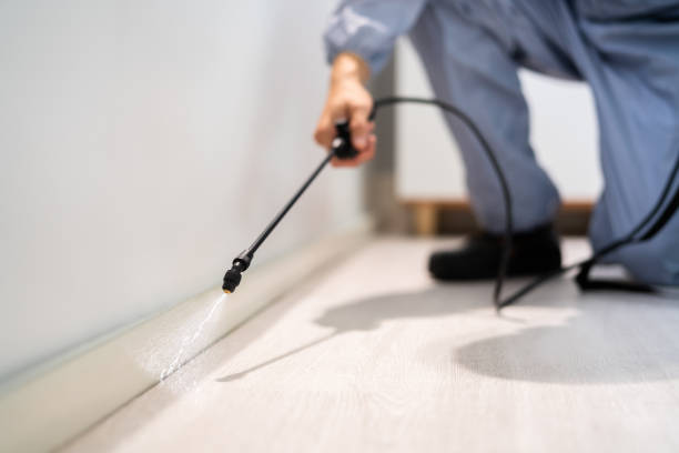 Licensed Pest Control service in Crawfordville, FL - Show Me Pest Control