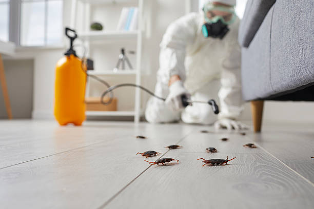 Post-Treatment Bed Bug Interceptor Monitoring in Crawfordville