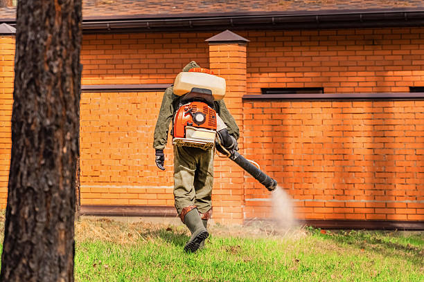 Bed Bug Clearance Verification and Documentation in Crawfordville